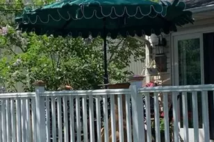 270 Nancy Dr, East Meadow, NY 11554 - Photo 29