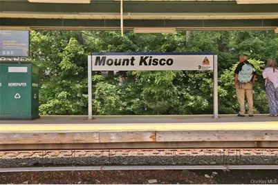 1303 Regent Drive, Mount Kisco, NY 10549 - Photo 31