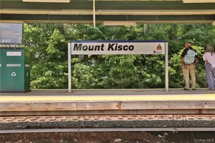 1303 Regent Dr, Mount Kisco, NY 10549 - Photo 31