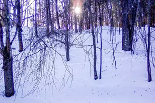 29 Schultz Rd, Monticello, NY 12720 - Photo 17