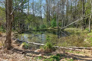 50 Tempaloni Rd, Ellenville, NY 12428 - Photo 37