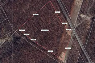 Lot 495857 Rt-376, Wappingers Falls, NY 12590 - Photo 3