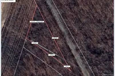 Lot 495857 Rt-376, Wappingers Falls, NY 12590 - Photo 5