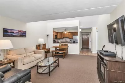 800 Willis Avenue #303, Albertson, NY 11507 - Photo 3