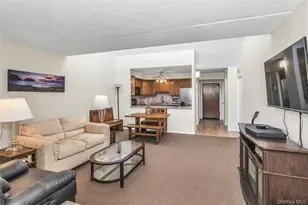 800 Willis Ave, Albertson, NY 11507 - Photo 3