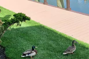 31 Anchor St, Freeport, NY 11520 - Photo 17