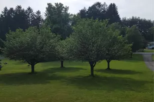 1406 Route 82, Hopewell Junction, NY 12533 - Photo 25