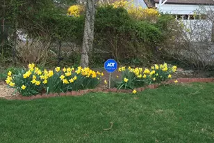 401 Heathcote Rd, Scarsdale, NY 10583 - Photo 35