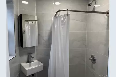 754 Manhattan Avenue #3L, Brooklyn, NY 11222 - Photo 9