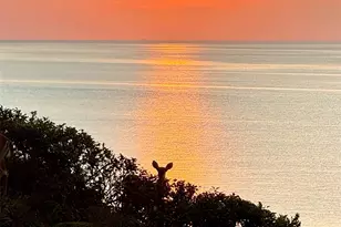 312 Fox Hill Dr, Calverton, NY 11933 - Photo 3