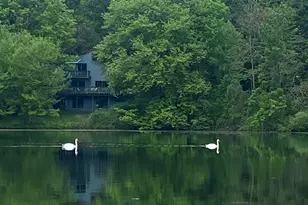 46 Patricia Ln, Clinton Corners, NY 12514 - Photo 3