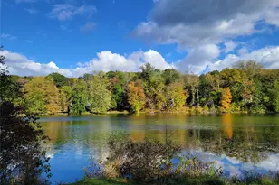 563 Spring Lake Rd, Red Hook, NY 12571 - Photo 29