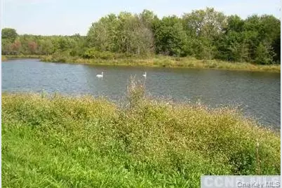 County Route 19, Hudson, NY 12534 - Photo 5