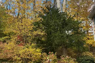 35 High Hills Ln, Huntington Station, NY 11746 - Photo 49