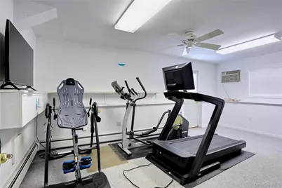 9 Mary Beth Drive, Airmont, NY 10901 - Photo 23