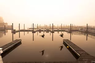 716 Sierra Vista Ln, Valley Cottage, NY 10989 - Photo 29