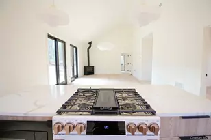 Tbd Devlin Rd, Highland Lake, NY 12528 - Photo 3