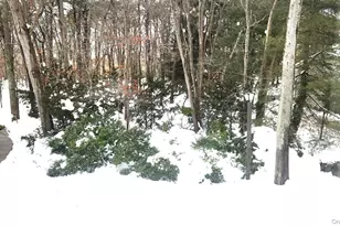 224H Springmeadow Dr, Holbrook, NY 11741 - Photo 13