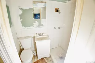 122-22 Nellis St, Springfield Gardens, NY 11413 - Photo 21