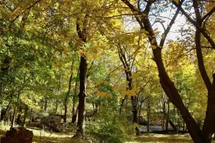 325 Haverstraw Rd, Montebello, NY 10901 - Photo 33