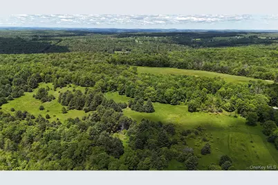 342 Bernas Road, Cochecton Center, NY 12726 - Photo 5