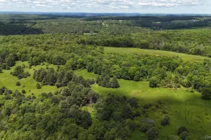 342 Bernas Rd, Cochecton Center, NY 12726 - Photo 5