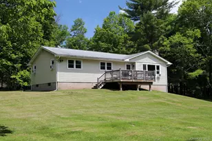 342 Bernas Rd, Cochecton Center, NY 12726 - Photo 23