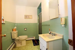 342 Bernas Rd, Cochecton Center, NY 12726 - Photo 39