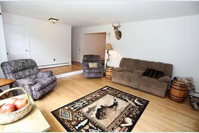 342 Bernas Road, Cochecton Center, NY 12726 - Photo 31