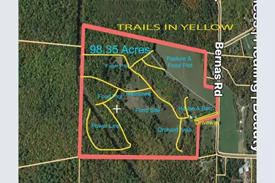 342 Bernas Road, Cochecton Center, NY 12726 - Photo 3