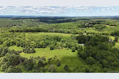 342 Bernas Road, Cochecton Center, NY 12726 - Photo 17