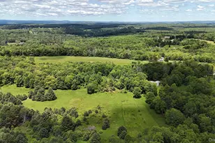 342 Bernas Rd, Cochecton Center, NY 12726 - Photo 17