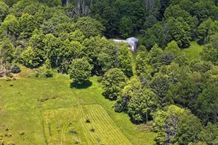 342 Bernas Rd, Cochecton Center, NY 12726 - Photo 49