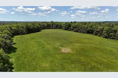 342 Bernas Road, Cochecton Center, NY 12726 - Photo 9