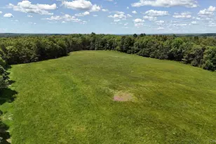 342 Bernas Rd, Cochecton Center, NY 12726 - Photo 9