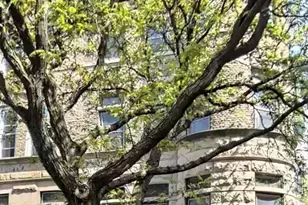 897 Park Pl, Brooklyn, NY 11216 - Photo 1