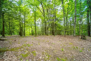 101 Red Star Rd, Greenfield Park, NY 12435 - Photo 31