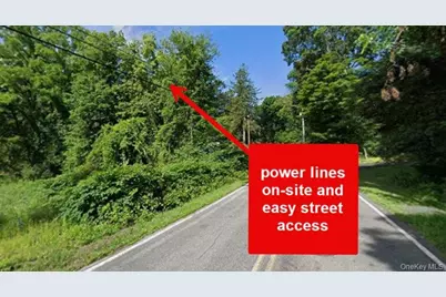 00 Primrose Hill Road, Rhinebeck, NY 12572 - Photo 5