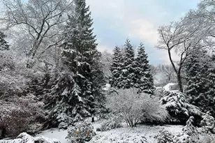 42 Edgewood Ave, Mount Vernon, NY 10552 - Photo 35