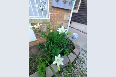 933 Tilden Street, Bronx, NY 10469 - Photo 3