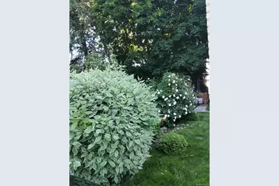 933 Tilden Street, Bronx, NY 10469 - Photo 9