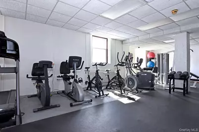 163 Carrollwood Drive, Tarrytown, NY 10591 - Photo 21