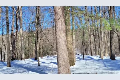 94 Hill Top Road, Rhinebeck, NY 12572 - Photo 27