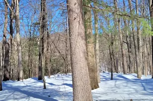 94 Hilltop Rd, Rhinebeck, NY 12572 - Photo 27