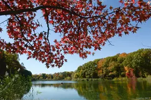 229-09 69th Ave, Bayside, NY 11364 - Photo 25