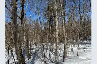 Lot 32 Woodstone Trail, Bethel, NY 12720 - Photo 11