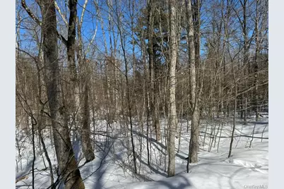 Lot 32 Woodstone Trail, Bethel, NY 12720 - Photo 5