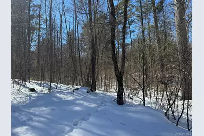 Lot 32 Woodstone Trail, Bethel, NY 12720 - Photo 7
