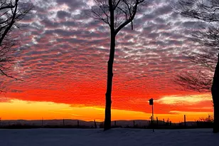 191 Forest Valley Rd, Pleasant Valley, NY 12569 - Photo 5