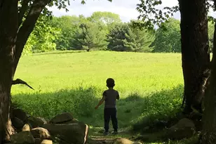 415 Sarles St, Mount Kisco, NY 10549 - Photo 41